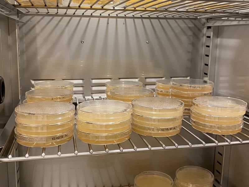 Wastewater samples in shelves