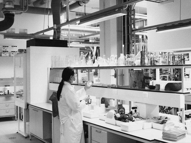 Student Irene Purasachit in the lab.