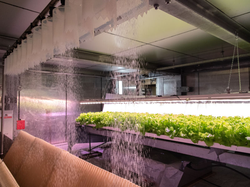 Vertical Farming: An insurance against the changing climate photo: Mikko Raskinen