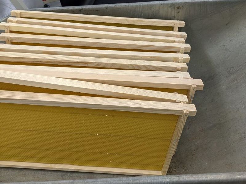 Color photo of 10 bee hive frames