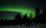 A night sky with the northern lights visible behind the silhouettes of trees. / Yötaivas, jossa revontulet näkyvät puiden siluettien takana.