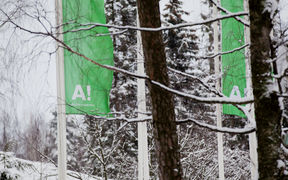 vihreät liput, green flags. Kuva: Mikko Raskinen