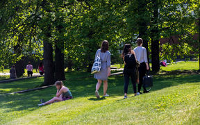 students in summer-time campus