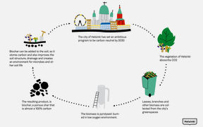 A concptual cycle of the experimental process of the Helsinki Biochar Project