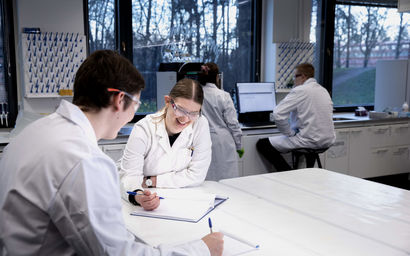 Students studying in groups in the laboratory