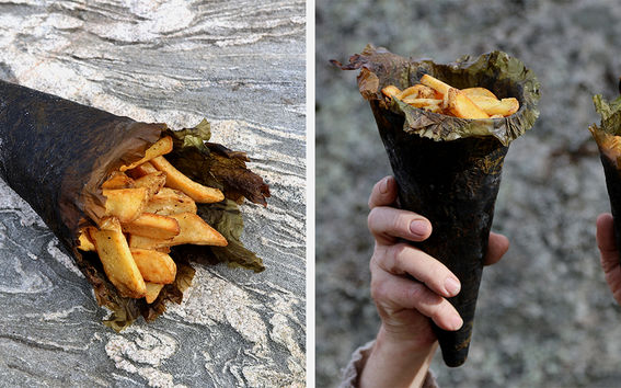 Seaweed Cone, project by Anne Hirvonen