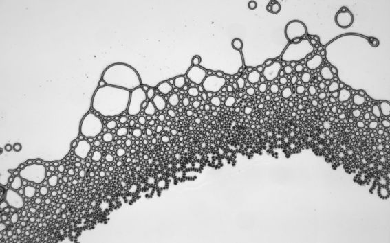 Droplets in strange shapes