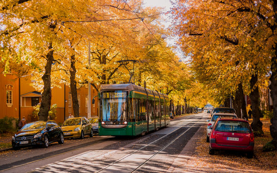 Tram passing by a street filled with trees and autumn leaves