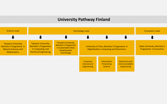 University Pathway Finland Programme tracks