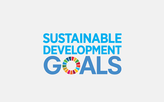 Global Sustainability Goals Logo
