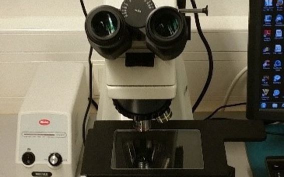 Motic BA310 MET-T (Light Microscope)