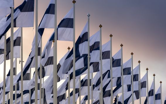 Finnish flags on gradient sky