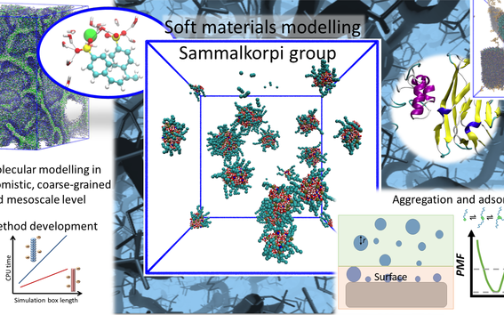 Soft Matter Modelling group Aalto University