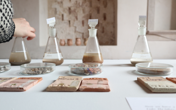Soil exhibits from the project Traces_from_the_Anthropocene Working_with_Soil. Photo:TzuyuChen