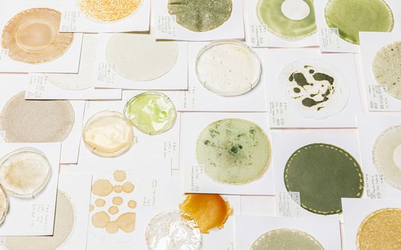 An image with different kinds of biochemical compounds printed on paper, colorful