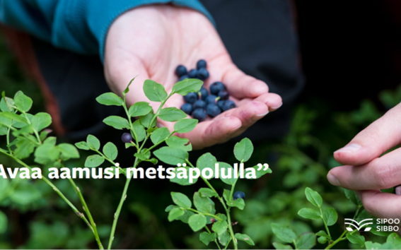 Hand-picked blueberries and a slogan "Avaa aamusi metsäpolulla" ("Begin your mornings on forrest trails").
