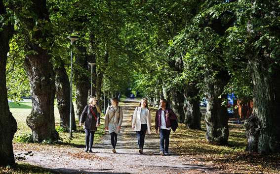 Aalto University Summer School students walking in Otaniemi campus