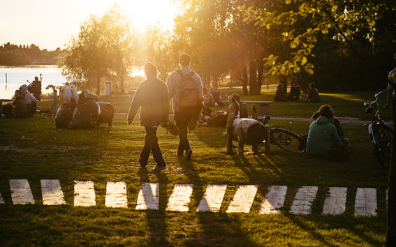 people sitting and walking around in a park in summery sunset