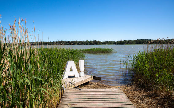 Aalto logo by the the shore