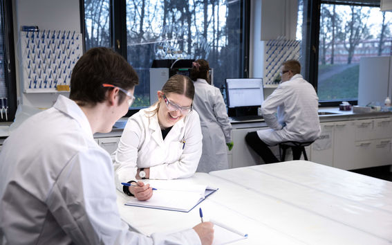 Students studying in groups in the laboratory