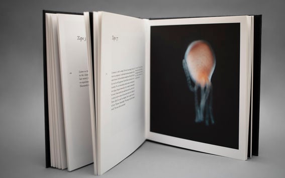 Pystyssä auki olevan kirjan sivuilla näkyy kuva polyyppi hydrasta ja viereisellä sivulla tekstiä.