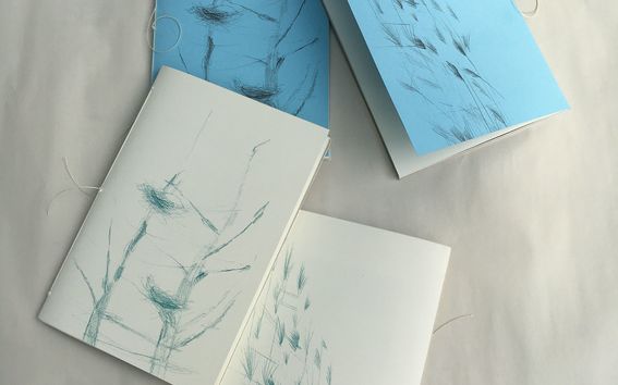 Four copies of The Waiting Room (Practising Building a Nest) lay together on white paper. Two covers are white, two are sky blue. They all show printed line drawings.