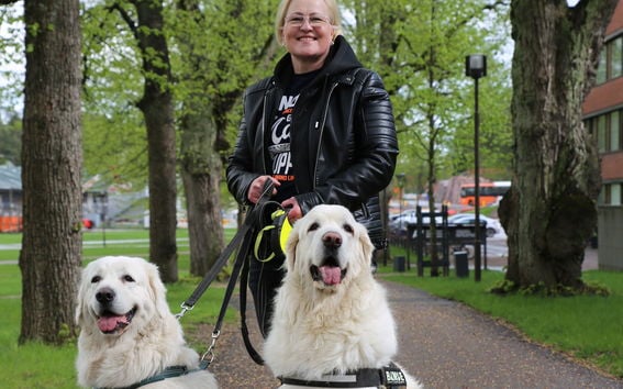 Security Manager of Aalto Riitta Gröhn with her dogs Bella and Bamse.