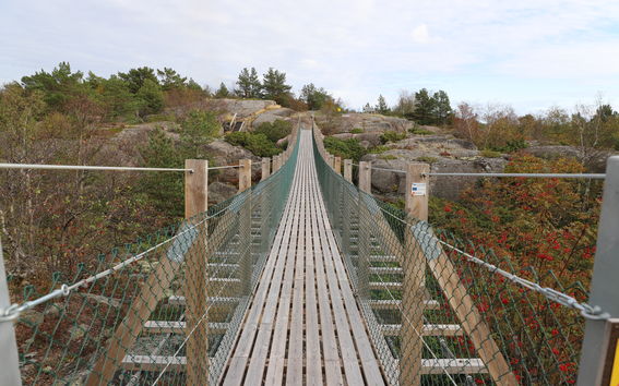 A suspended narrow wooden bridge cruising over a rocky island landscape, surrounded by flowered bushes.