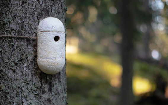 a birdhouse made of mycelium hanging from a tree
