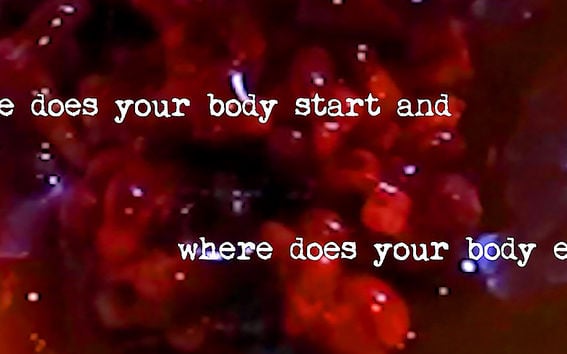a text: "Where does your body start and where does your body end?" on a red disgusting background