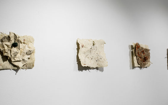 four organic shaped works hung on a white wall