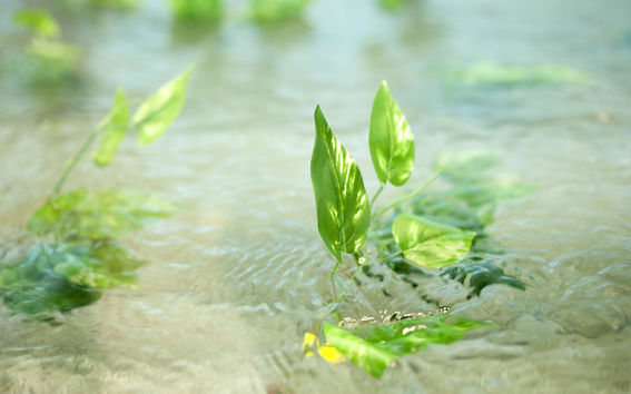 Vihreitä lehtiä ajelehtii vedessä (kuvituskuva)