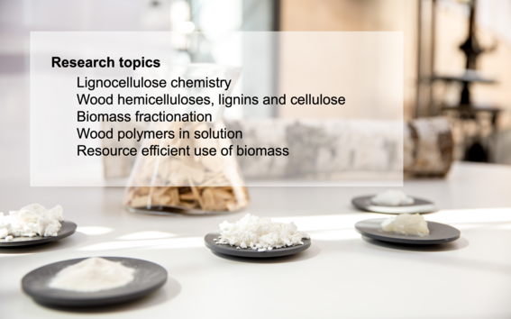 The research topics of the group listed as a black text, set on top of an image of wood biomass substances on grey plates, plus wood chips and a log in the background