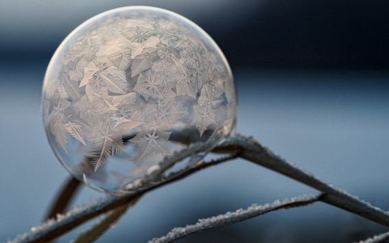 Frozen bubble with intricate snowflakes inside, resting on an icy branch with a blurred wintery backdrop
