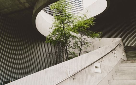 Concrete building with a tree growing inside it