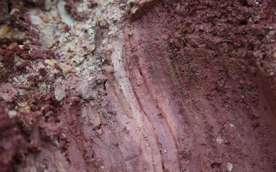 A close up image of wild red clay