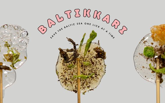 Three Baltikkari lollipops made of algae