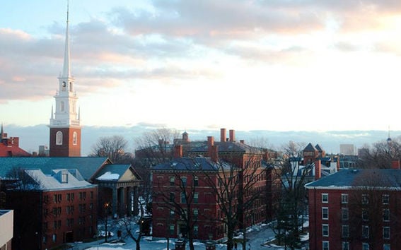 The campus of Harvard University. Photo: Harvard University