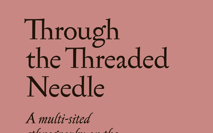 Through the Threaded Needle cover image