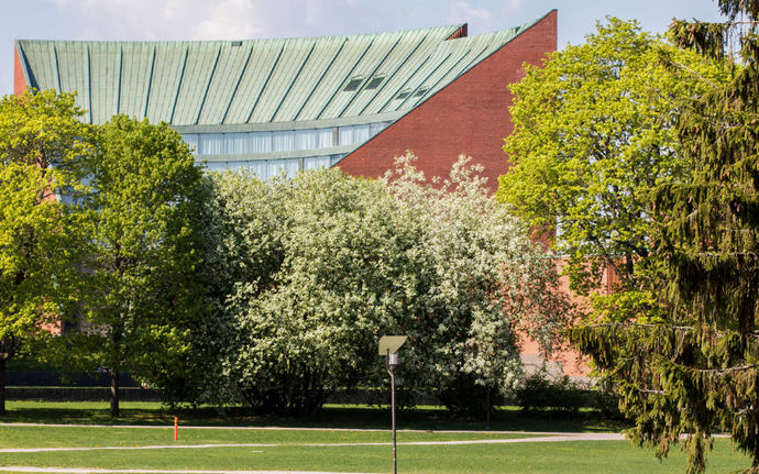 Aalto University campus building behind fresh green trees. Photo: Aalto University / Mikko Raskinen