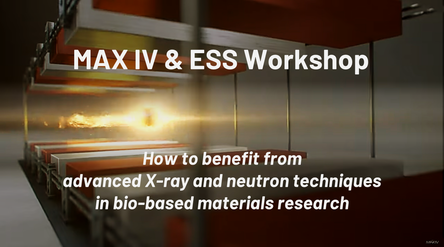 MAX IV - ESS workshop