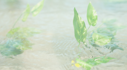 Green plant in water