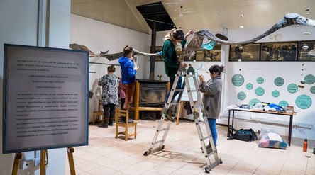 Four women installing art piece