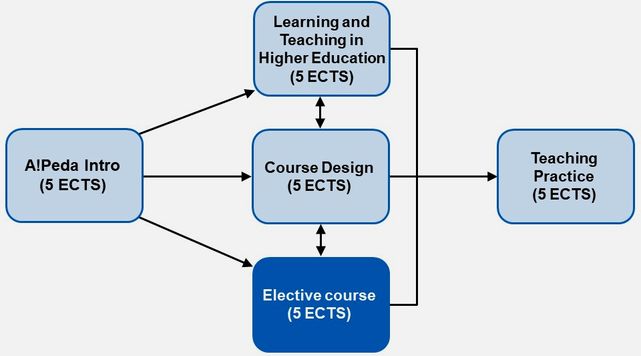 Pedagogical training elective course