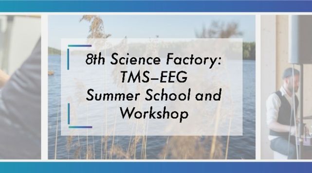 8th Science Factory: TMS–EEG Summer School and Workshop