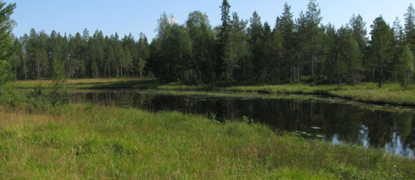 Aalto University/Metsät ja vesi
