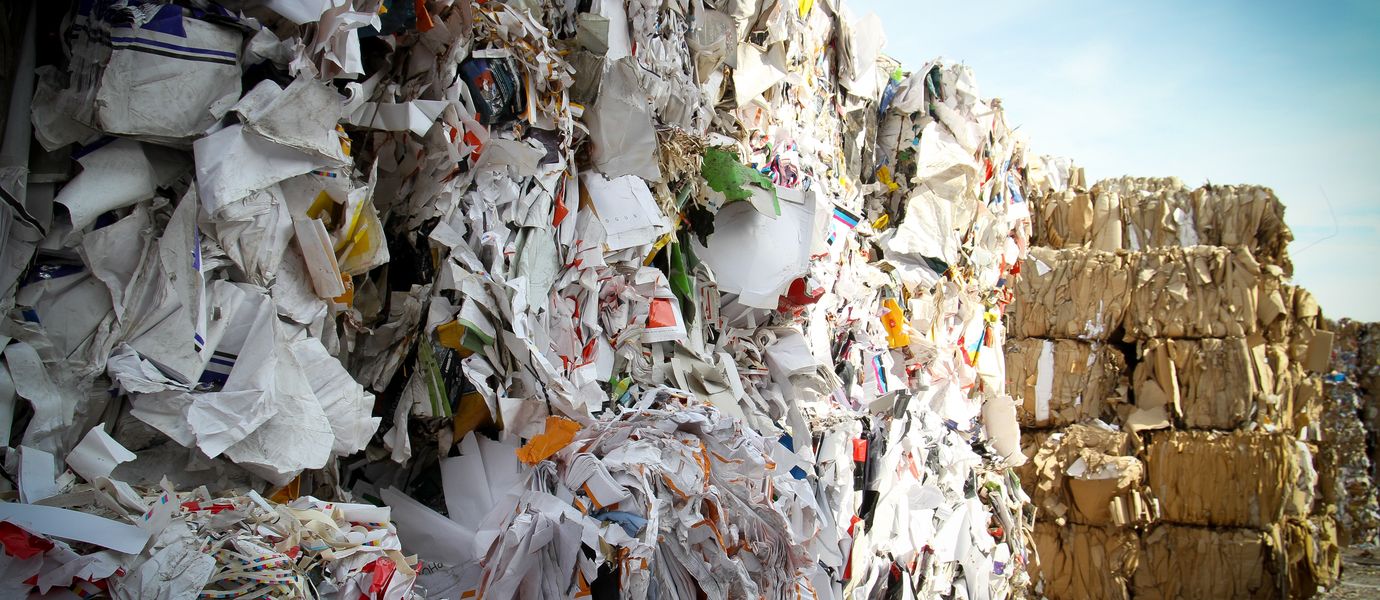 Bales of paper and cardboard waste