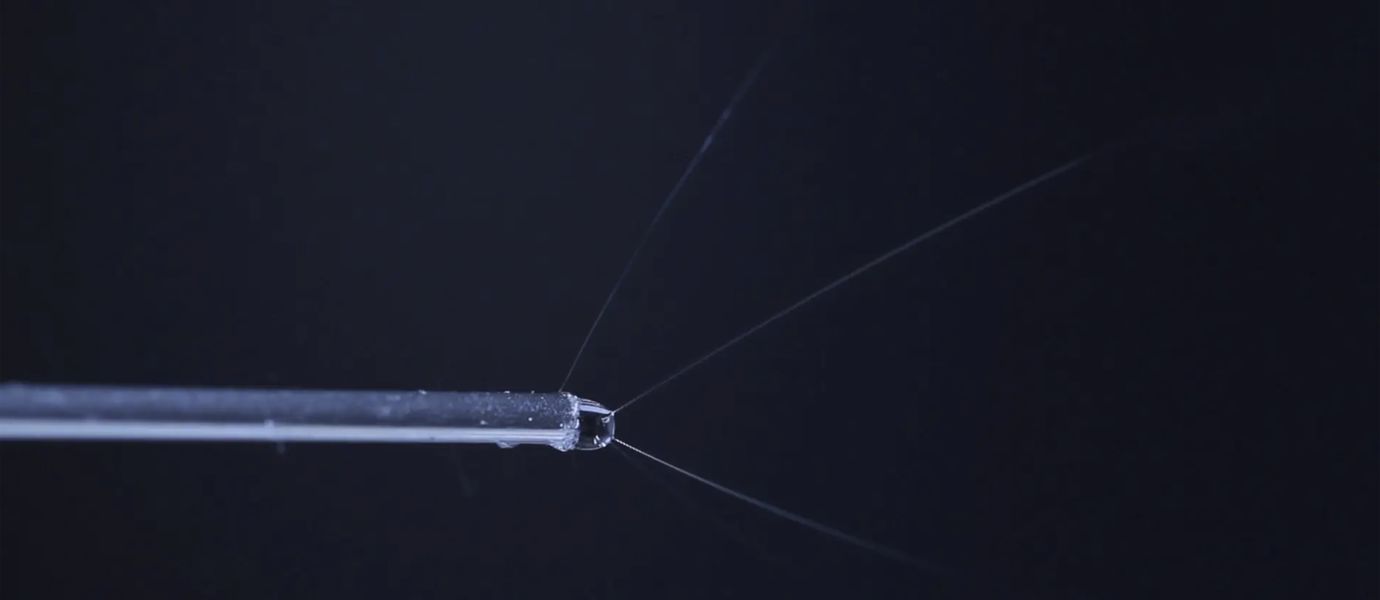 Kuva osoittaa, miten valmistetaan biosynteettistä hämähäkinseittiä suurjännitteen avulla