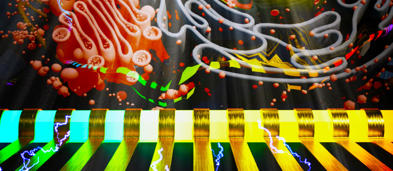 nanowire spectrometer imaging a cell. image ella maru studio
