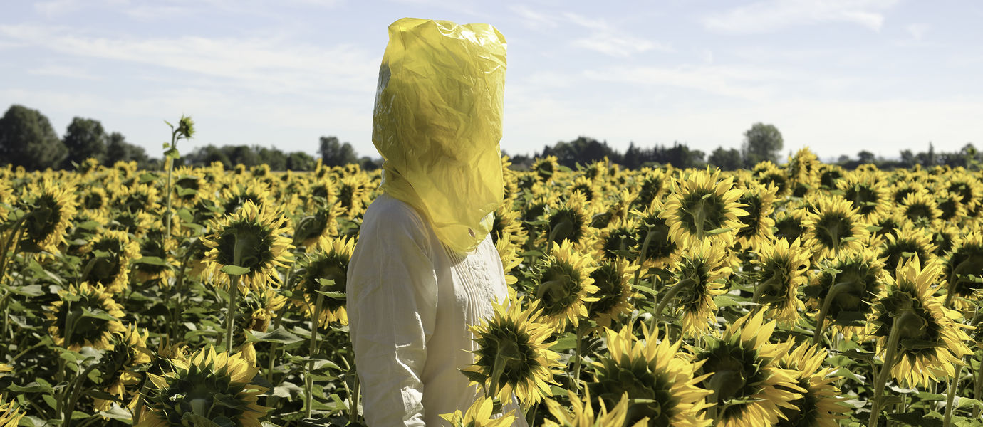 nainen seisoo auringonpaisteessa auringonkukkakedolla keltainen muovipussi päässään